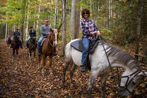 Smokemont riding stables - The 2.5 hour waterfall ride is $75 per rider and goes at 9 am, 12 am, and 3 pm . The 4 hour ride is $120 per rider with a minimum of 2 riders at 10 am by reservation only. The wagon ride is $10 per rider and it goes 15 minutes after the hour every hour from 9:15 am to 4:15 pm. For any of our rides we suggest you call 828 497 2373 and make a ... 